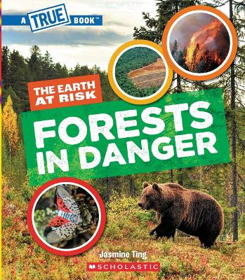 Forests in Danger (a True Book: The Earth at Risk) by Jasmine Ting 9781546102106