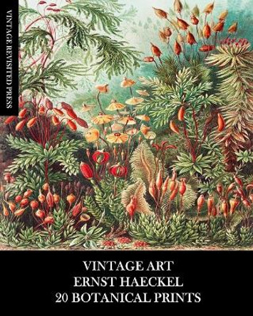 Vintage Art: Ernst Haeckel: 20 Botanical Prints: Flora and Fauna Ephemera for Framing, Collage and Decoupage by Vintage Revisited Press 9781006441295