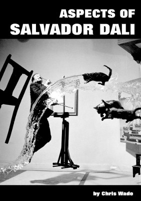Aspects of Salvador Dali by Chris Wade 9780244979553