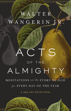 Acts of the Almighty: Meditations on the Story of God for Every Day of the Year by Walter Wangerin Jr. 9780310356882