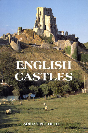 English Castles - A Guide by Counties by Adrian Pettifer 9780851157825