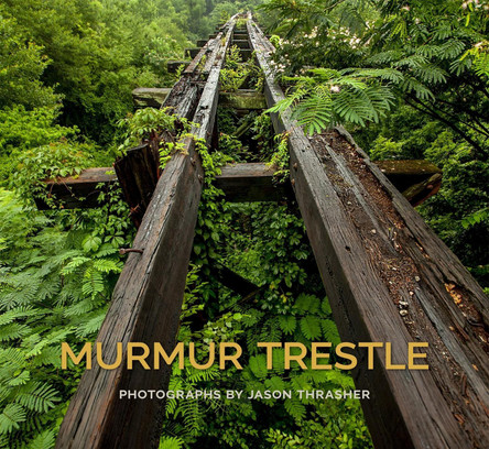 Murmur Trestle by Jason Thrasher 9781588385192