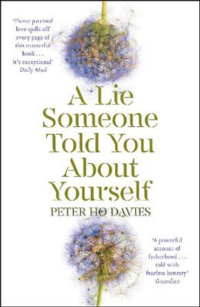 A Lie Someone Told You About Yourself by Peter Ho Davies