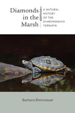Diamonds in the Marsh: A Natural History of the Diamondback Terrapin by Barbara Brennessel