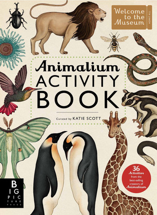 Animalium Activity Book Katie Scott 9781783703432