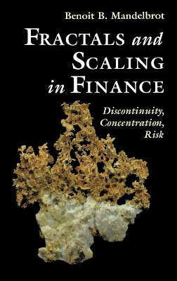 Fractals and Scaling in Finance: Discontinuity, Concentration, Risk. Selecta Volume E by Benoit B. Mandelbrot 9780387983639