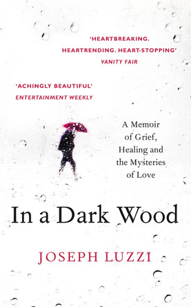 In a Dark Wood: A Memoir of Grief, Healing and the Mysteries of Love by Joseph Luzzi 9780008100667