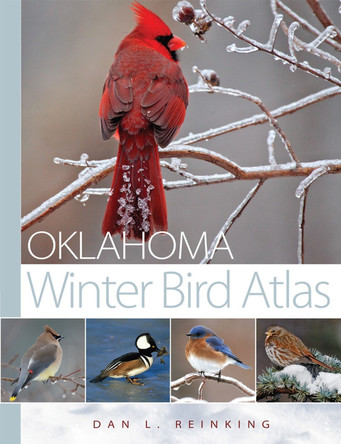 Oklahoma Winter Bird Atlas by Dan L. Reinking 9780806158976