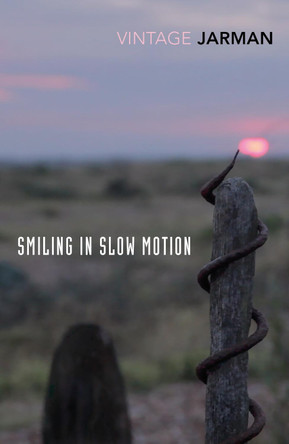 Smiling in Slow Motion: Journals, 1991-1994 by Derek Jarman