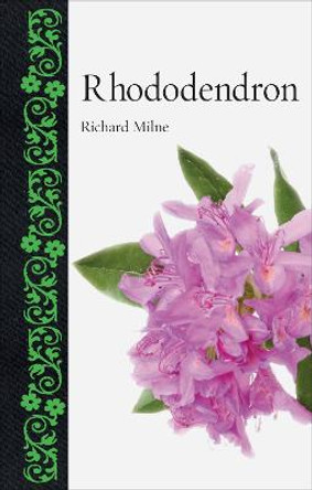 Rhododendron by Richard Milne