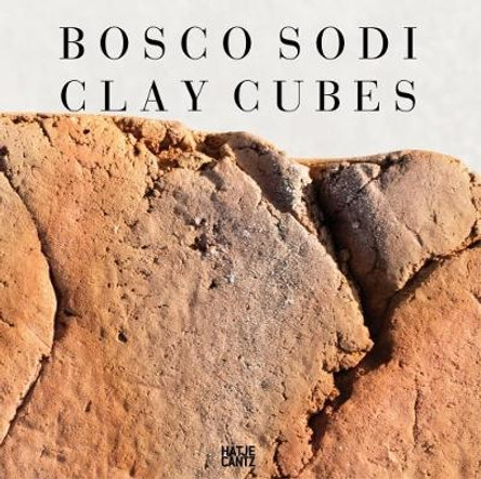 Bosco Sodi: Clay Cubes by Mark Gisbourne