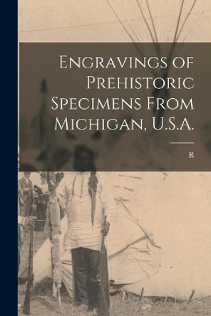 Engravings of Prehistoric Specimens From Michigan, U.S.A. by R B 1856 Etzenhouser 9781015696693