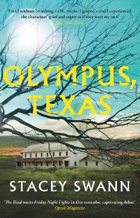 Olympus, Texas by Stacey Swann