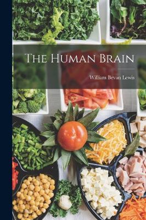 The Human Brain by William Bevan Lewis 9781018447384