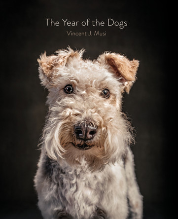 The Year of the Dogs by Vincent J. Musi