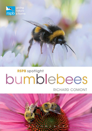 RSPB Spotlight Bumblebees by Richard Comont