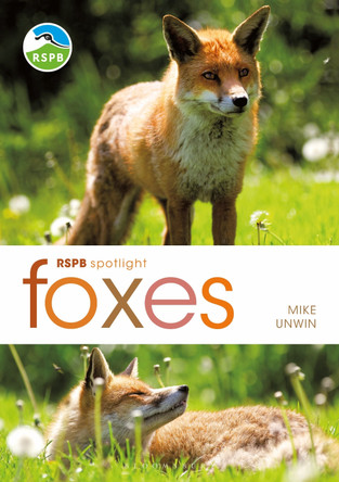 RSPB Spotlight: Foxes by Mike Unwin