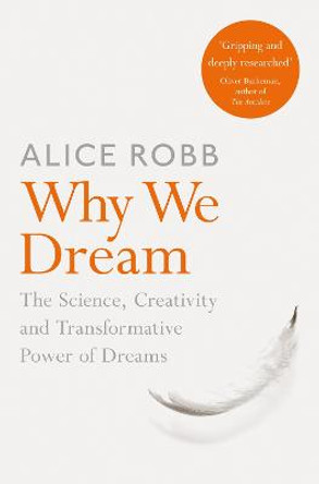 Why We Dream: The Science, Creativity and Transformative Power of Dreams by Alice Robb
