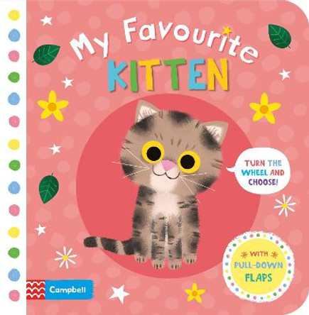 My Favourite Kitten by Campbell Books