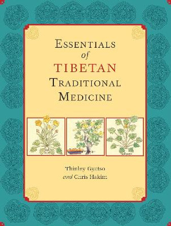 Essentials Of Tibetan Traditional Medicine by Thinley Gyatso