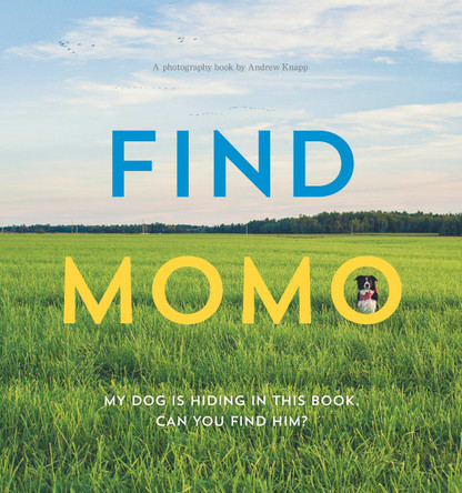Find Momo by Andrew Knapp 9781594746789 [USED COPY]