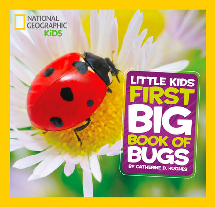 Little Kids First Big Book of Bugs (First Big Book) by Catherine D. Hughes 9781426317231 [USED COPY]