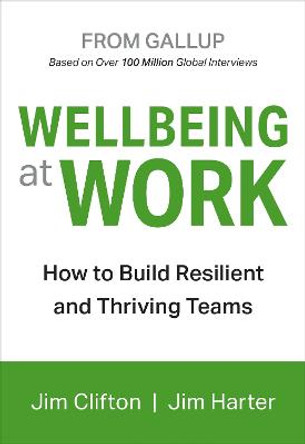 Wellbeing at Work by Jim Clifton