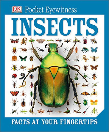 DK Pocket Eyewitness Insects by DK 9781409374589 [USED COPY]