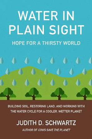 Water in Plain Sight: Hope for a Thirsty World by Judith Schwartz