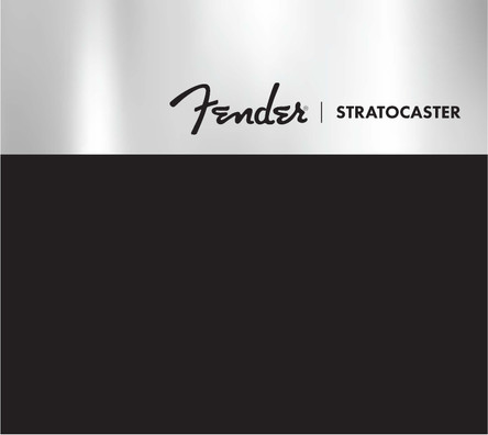 Fender Stratocaster 70 Years Deluxe Box Edition by Dave Hunter 9780760396032