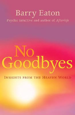 No Goodbyes: Insights From the Heaven World by Barry Eaton