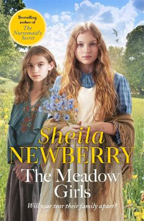 The Meadow Girls: A heart-warming World War I saga by Sheila Newberry