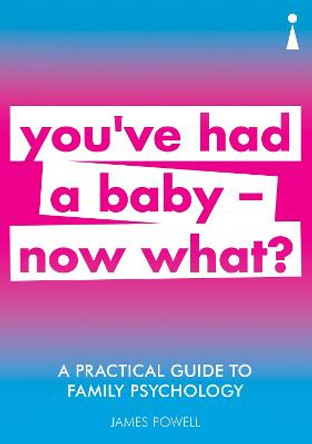 A Practical Guide to Family Psychology: You've had a baby - now what? by James Powell