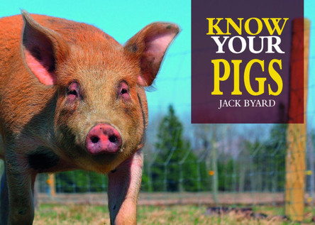 Know Your Pigs by Jack Byard