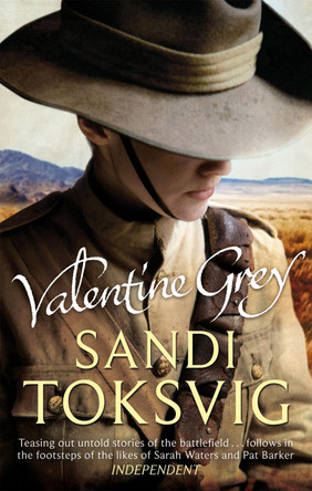 Valentine Grey Sandi Toksvig 9781844088331