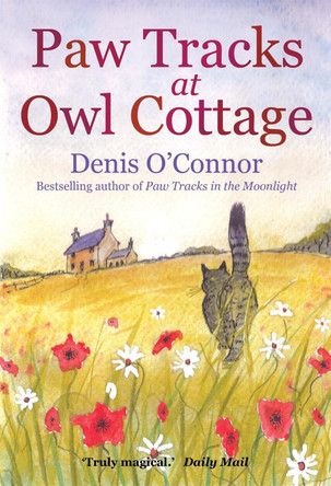 Paw Tracks at Owl Cottage by Denis O'Connor