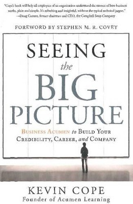 Seeing the Big Picture by Kevin Cope 9781608322466 [USED COPY]