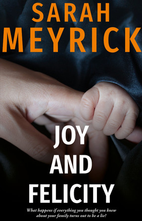 Joy and Felicity by Sarah Meyrick 9781789591767 [USED COPY]