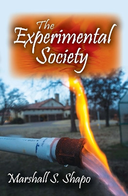 The Experimental Society Marshall S. Shapo 9781032920450