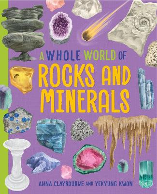 A Whole World of...: Rocks and Minerals Anna Claybourne 9781445188577