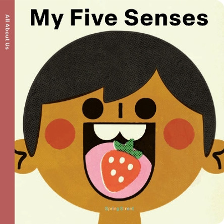 Spring Street All About Us: My Five Senses Boxer Books 9781454712343