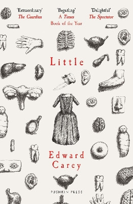 Little Edward Carey 9781805337942