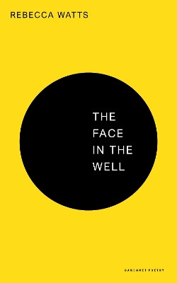The Face in the Well Rebecca Watts 9781800174580