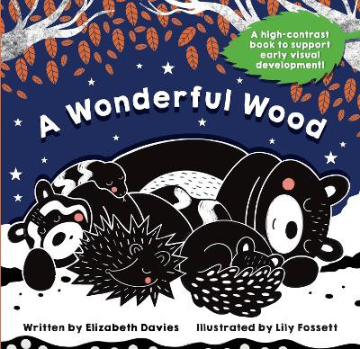 A Wonderful Wood Elizabeth Davies 9781399984133
