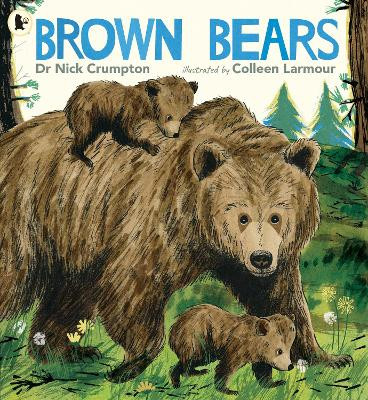 Brown Bears Dr. Nick Crumpton 9781529523720