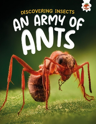 Discovering Insects: An Army of Ants Rebecca Storm 9781835694183