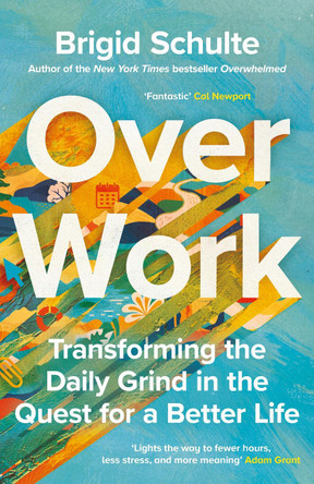 Over Work: Transforming the daily grind in the quest for a better life Brigid Schulte 9781785123801