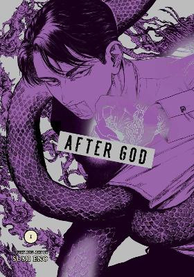 After God, Vol. 3 Sumi Eno 9781974752041