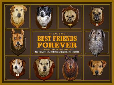 Best Friend Forever by J.D Powe