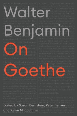 On Goethe Walter Benjamin 9781503642225